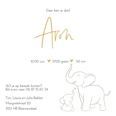 Geboortekaartje voor een jongen met olifantjes en goudfolie