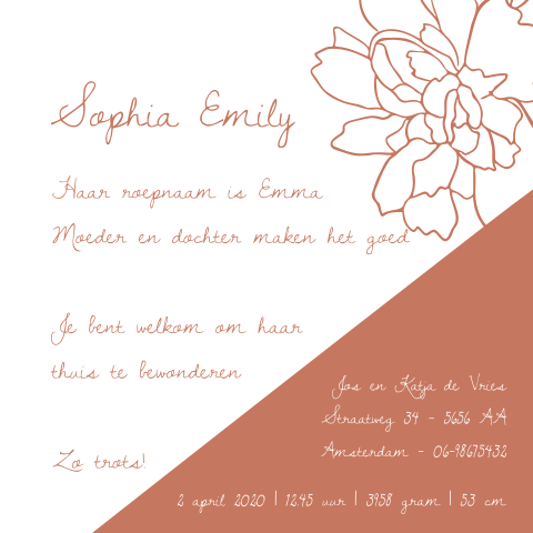Geboortekaartje voor een meisje met bloemen en kleurvlakken