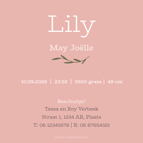 Minimalistisch geboortekaartje voor een meisje met takjes en bloemetje