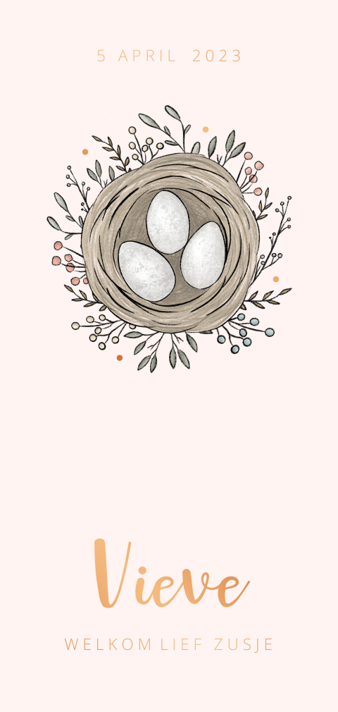 Geboortekaartje voor een lente meisje met nestje