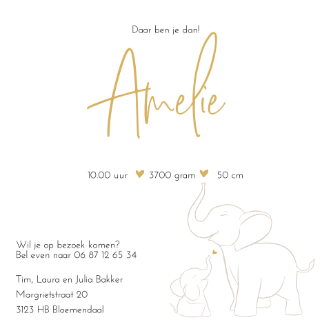 Klassiek geboortekaartje met olifantjes voor een zusje