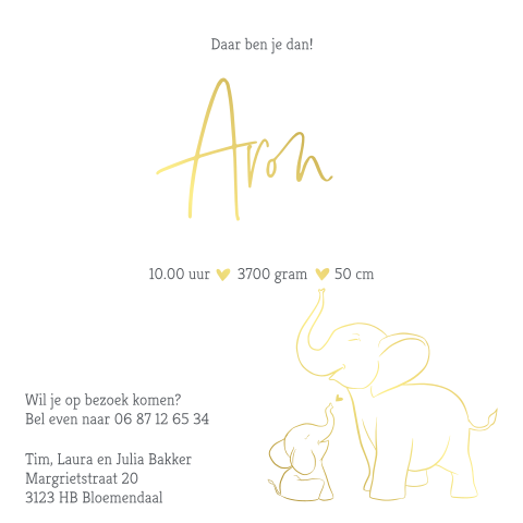 Klassiek geboortekaartje met olifantjes voor een broertje